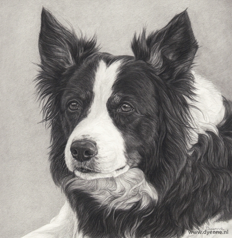 Dierenportret in opdracht