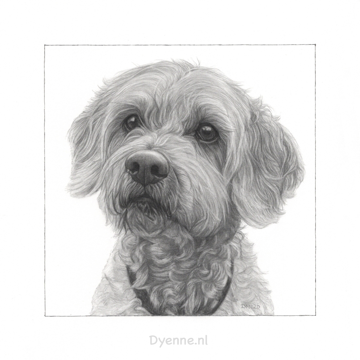 Aandenken hond