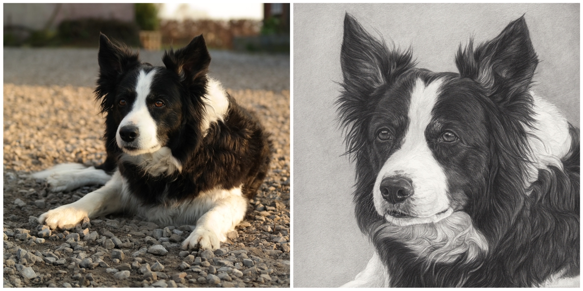 Dierenportret in opdracht