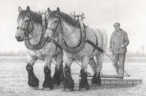 Potloodtekening van Werkpaarden