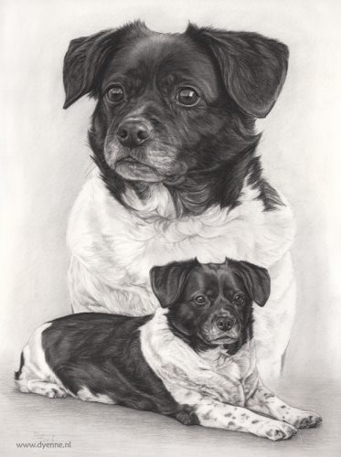 Potloodtekening van Nina