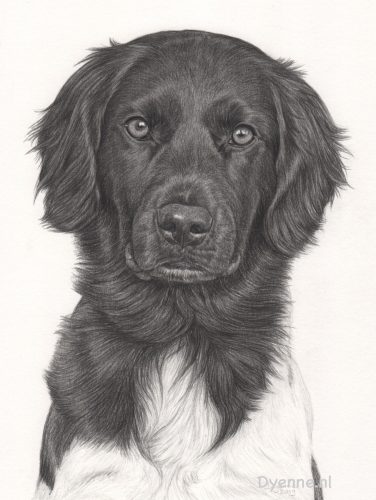 Hondenportret Mowgli