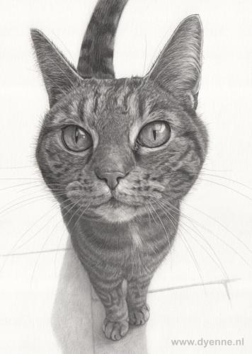 kattenportret Lisa