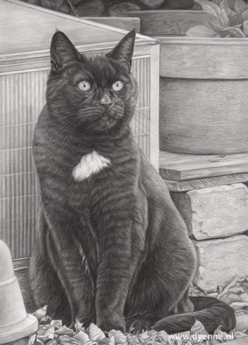 Potloodtekening van Smokey